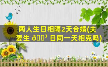 两人生日相隔2天合婚(夫妻生 🐳 日同一天相克吗)